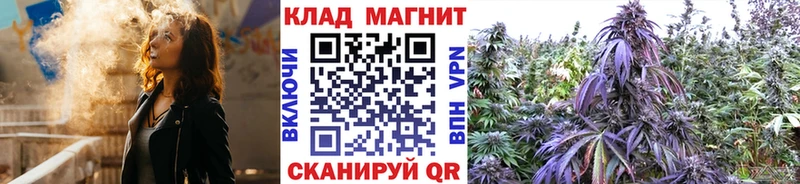 Где купить наркоту Тайга COCAIN  Мефедрон  ГАШ  СК  Псилоцибиновые грибы  Codein  Амфетамин  Бошки Шишки 