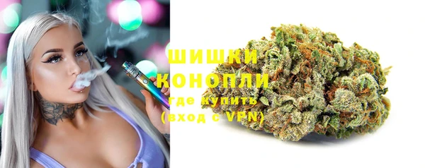 Альфа ПВП Инта