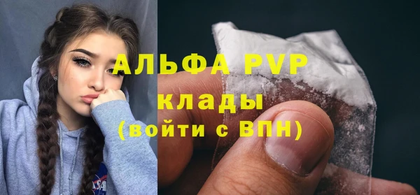 Альфа ПВП Инта