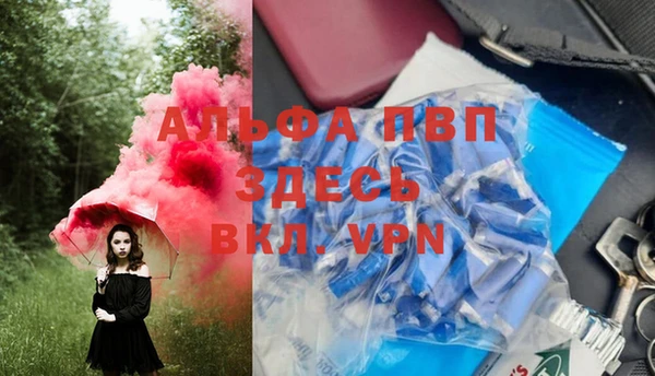 Альфа ПВП Инта