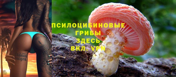 прущий лед Иннополис