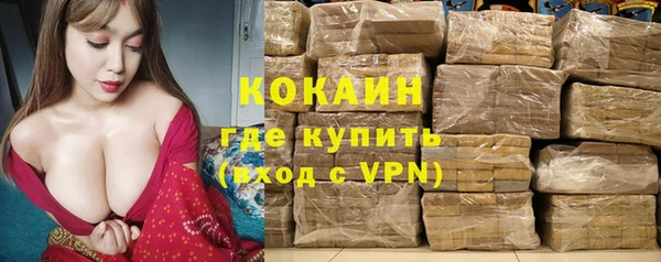 кокс Инсар