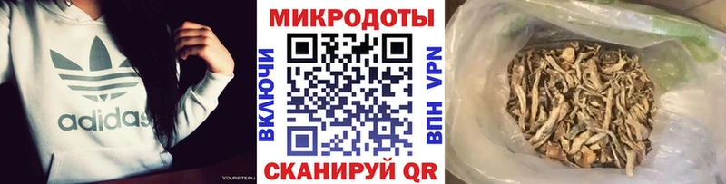 Галлюциногенные грибы ЛСД Тайга