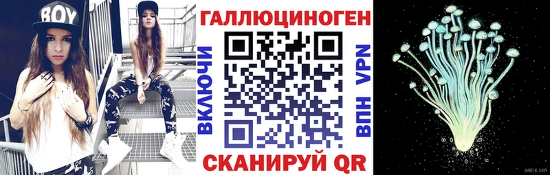 Галлюциногенные грибы мухоморы  блэк спрут как войти  Тайга 